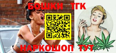 дживик Можга