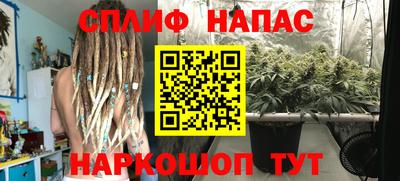 дживик Можга