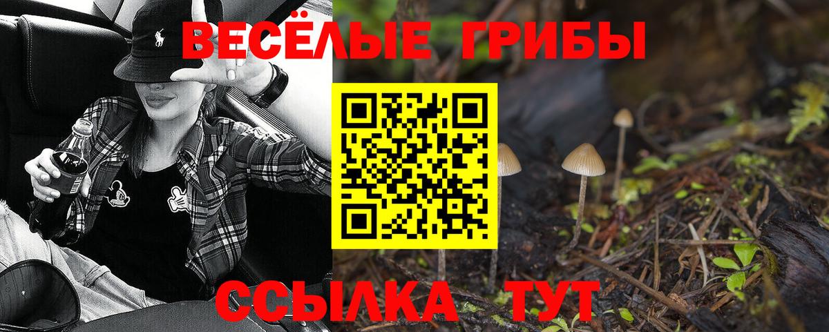 Псилоцибиновые грибы Cubensis Химки