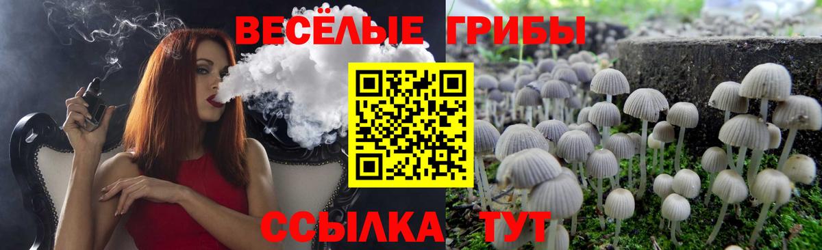 Псилоцибиновые грибы Psilocybe  Псилоцибиновые грибы MAGIC MUSHROOMS  Вход с VPN  где купить наркоту  Химки 